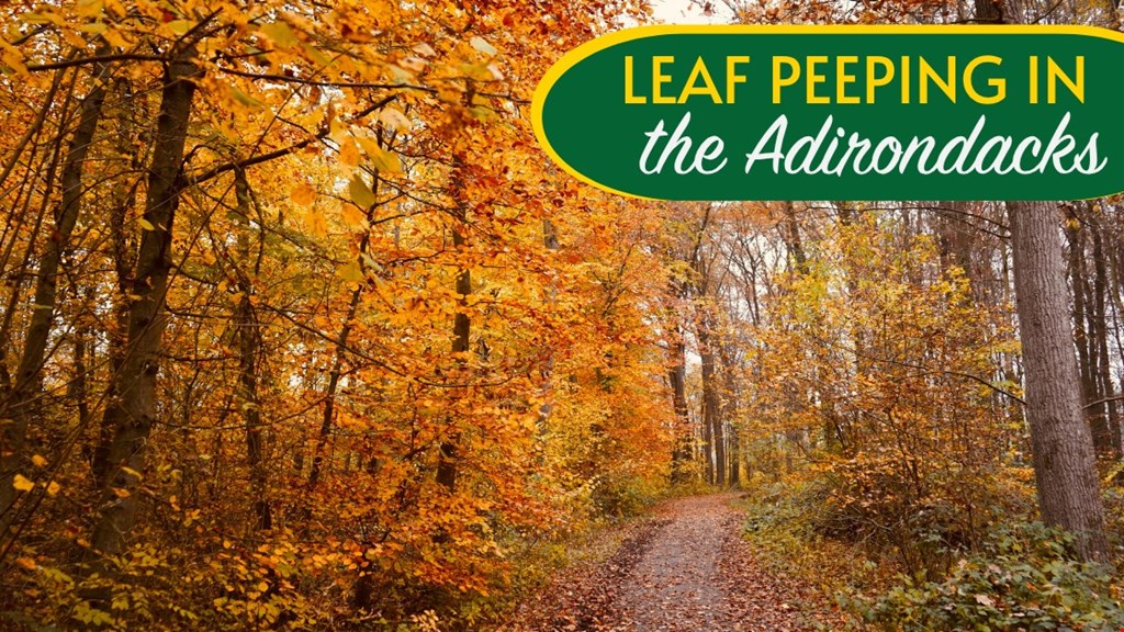 Leaf Peeping in the Adirondacks
