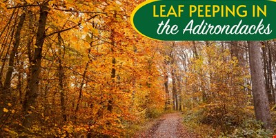 Leaf Peeping in the Adirondacks