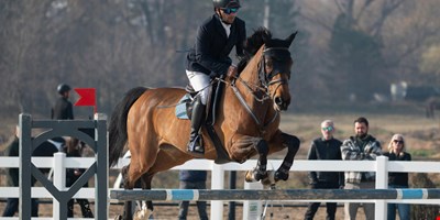 Lake Placid Horse Shows
