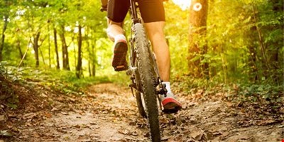 WHOOP UCI Mountain Bike World Series